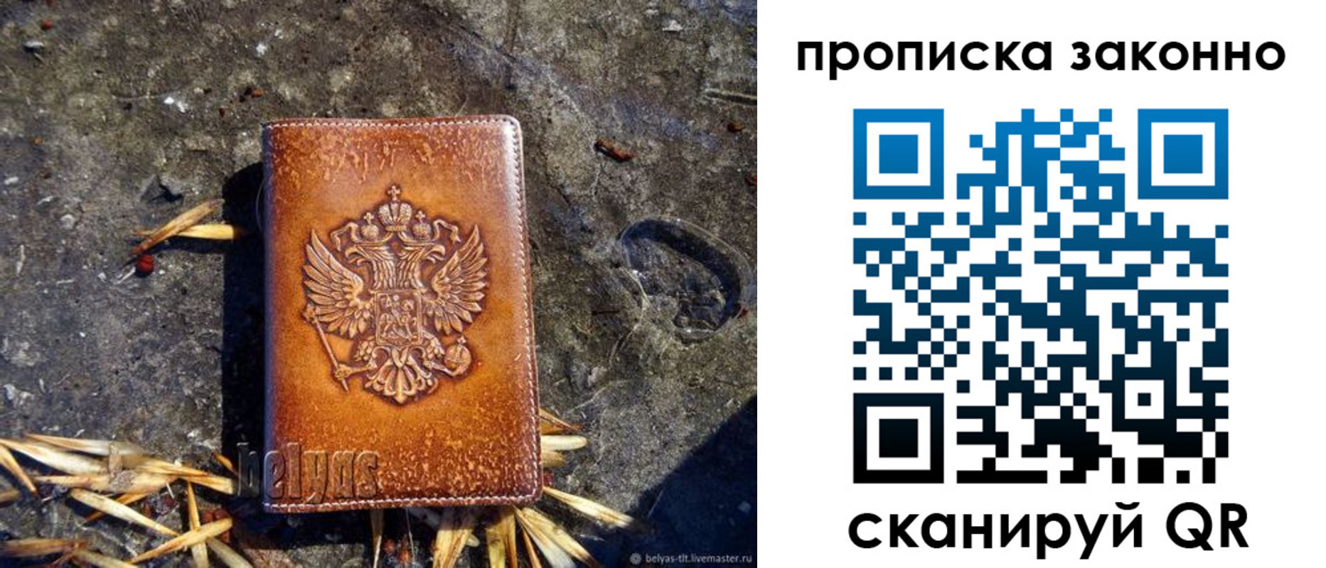 прописка паспорт в Шебекино